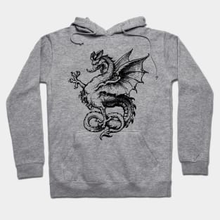 Epic Dragon Hoodie